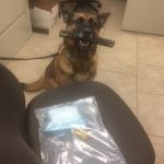 Meth Seized K