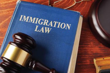 The U.S. Constitution and Immigration